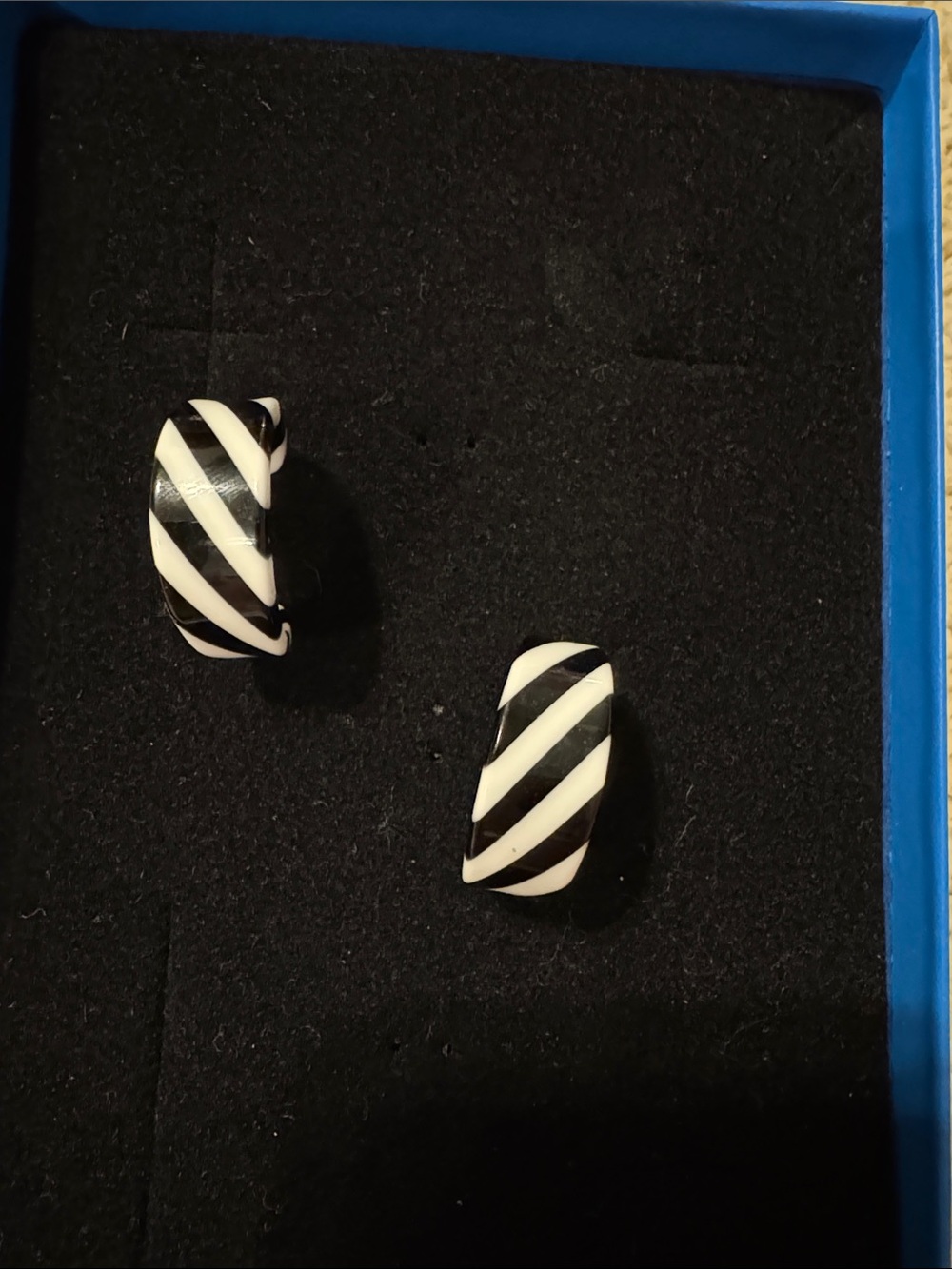 Source Unknown Black and White Striped Hoop Earrings